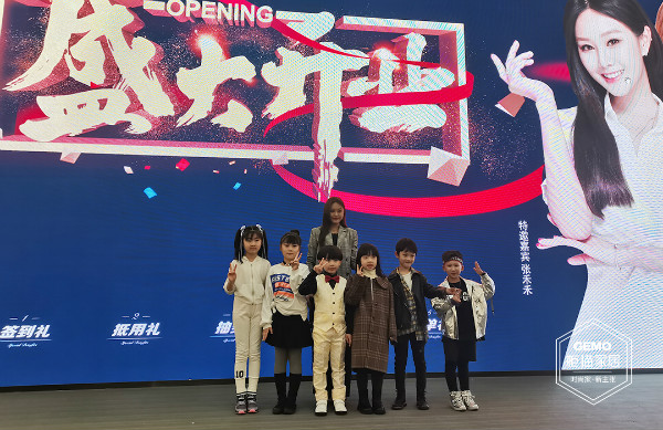 南京柜貓 南京柜貓